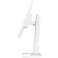 Игровой монитор iiyama G-Master Red Eagle GB2470HSU-W5