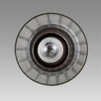 Подвесная люстра Lumion Isha 8102/1A