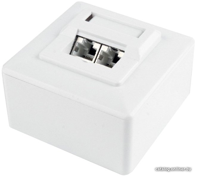 Розетка компьютерная Gembird MWS-2S6-01