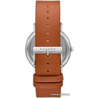 Наручные часы Skagen SKW6578 в Бресте