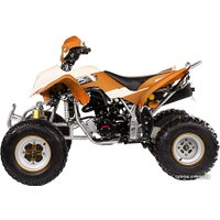 Квадроцикл IRBIS ATV 250S