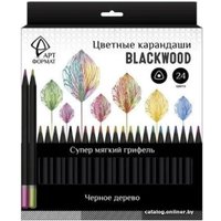 Набор цветных карандашей АртФормат AF03-051-24