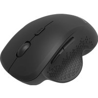 Мышь Philips SPK7624 (черный)