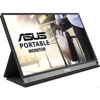 Портативный монитор ASUS MB16AP