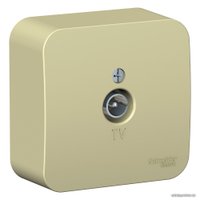 Розетка телевизионная Schneider Electric Blanca BLNTA000017