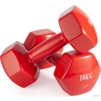 Гантель VictoryFit VF-DV0100 10 кг