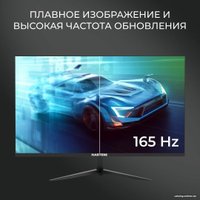 Игровой монитор Hartens HTM24Z165 в Мозыре