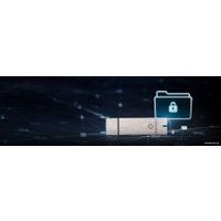 USB Flash Kingston IronKey D300S 128GB