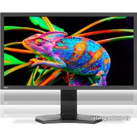 Монитор NEC PA311D-BK