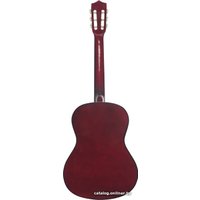 Акустическая гитара Terris TC-3801A NA