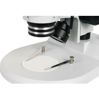 Микроскоп Микромед MC-A-0650 Bino 31304