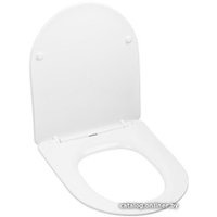 Сиденье для унитаза AV Engineering Art AVWHR204C