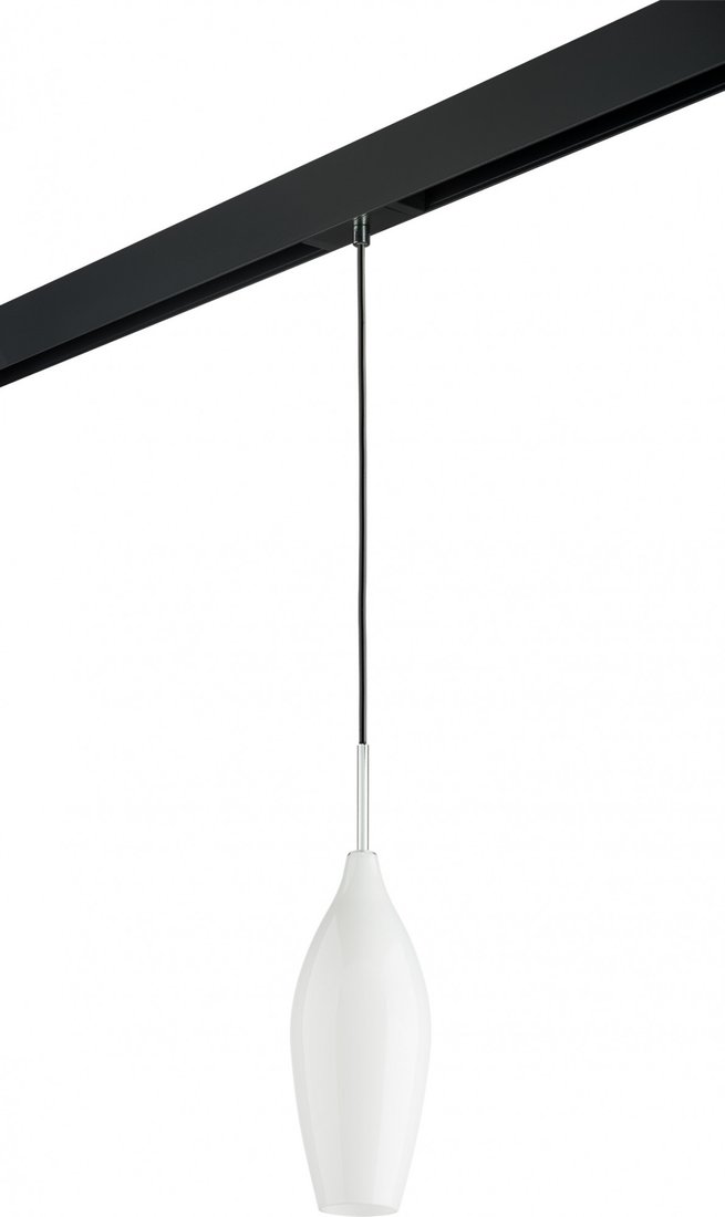 Трековый светильник Lightstar Pentola PRO803020