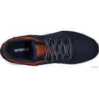 Кроссовки Reebok Elite Stride GTX IV (синий) [M44855]