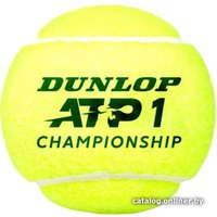 Набор теннисных мячей Dunlop ATP Championship (4 шт)