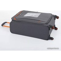 Чемодан-спиннер Francesco Molinary 270-29111/3-24 (серый)