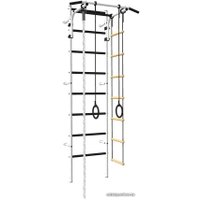 Детский спортивный комплекс Rokids Атлет-2 (белый/серый)