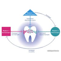 Зубная паста Curaprox Enzycal 950 75 мл