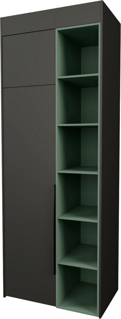 

Шкаф распашной Рэйгрупп Рэй S262-B2-WKZ В2 (дуб веллингтон/кобальт/зеленый самшит)