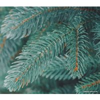 Ель Бифорес Венера (резина, голубой) 1.95 м