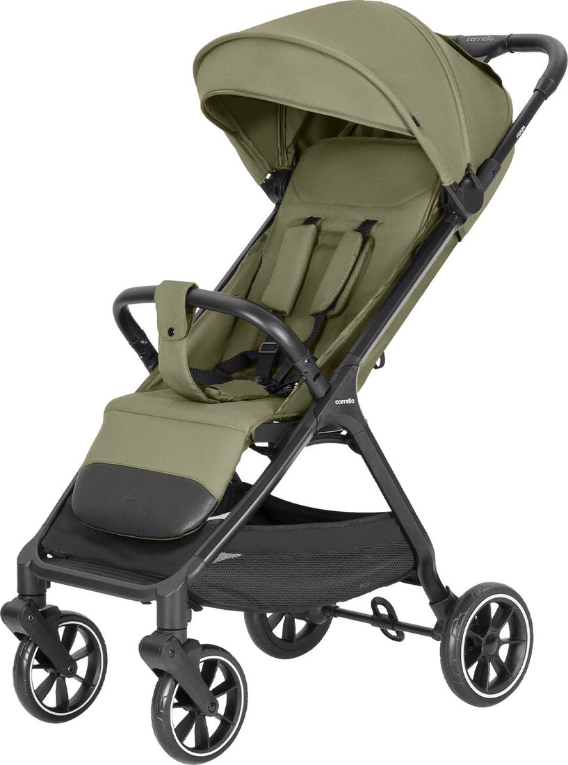 

Коляска прогулочная «книга» Carrello Forza CRL-5535 (Lagoon Green)