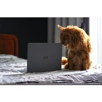 Ноутбук HAFF Smart LW N156P-16512W (ipd)