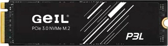 

SSD GeIL P3L 256GB P3LFD16I256G