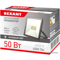 Уличный прожектор Rexant 605-004