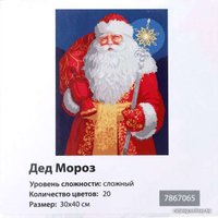 Картина по номерам Школа талантов Дед Мороз 7867065