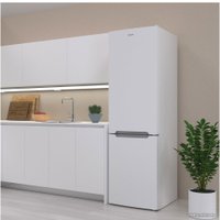 Холодильник Candy CCRN 6200W