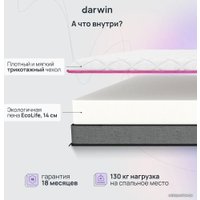 Матрас Darwin Base 160x200