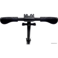 Двухколесный подростковый самокат Indigo City IN051 (черный)