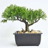 Искусственное растение Sundays Home 6405000739A