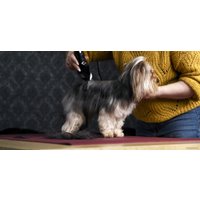 Машинка для стрижки  Moser 1406-0076