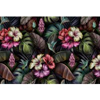 Фотообои Vimala Тропические колибри 270x400