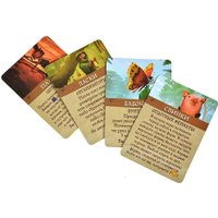 Настольная игра Мир Хобби Эверделл: Туманный лес в Мозыре