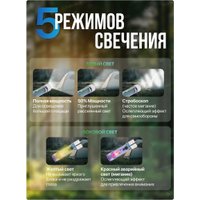 Фонарь FORSAGE F-CAM590 (60097)