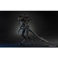 Экшен-фигурка Hiya Toys Aliens Colonial Marines Xenomorph Raven TM20021