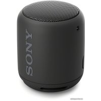 Беспроводная колонка Sony SRS-XB10 (черный)