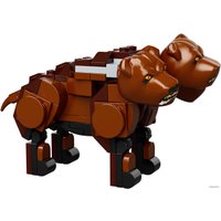 Конструктор LEGO Harry Potter 76387 Хогвартс: встреча с Пушистиком