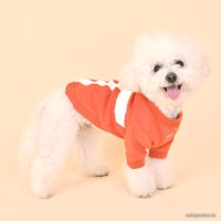 Свитер для животных Puppia Jagger PAUD-TS1841-OR-XL (оранжевый)