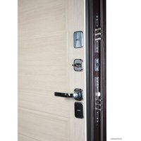 Металлическая дверь Промет Винтер 205x98 (беленый дуб/антик медь, правый)