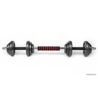 Набор гантелей с соединительным грифом  Pretorians NE20 2x10 кг (в кейсе)