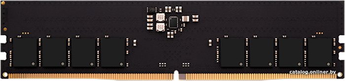 AMD Radeon R5 Entertainment Series 16ГБ DDR5 4800 МГц R5516G4800U1S-U