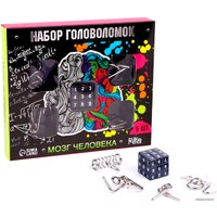 Головоломка Puzzle Мозг человека 3302583 (5 шт)