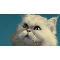 Фотообои ФабрикаФресок Кот на крыше 473270 (300x270)