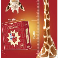 Подарочный набор Old Spice WhiteWater