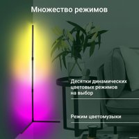 Торшер Digma FloorLight FL11