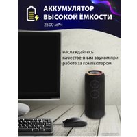 Беспроводная колонка Aiwa PAS-H300 (черный)