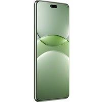 Телефон Huawei nova 13 Pro MIS-LX9 12GB/512GB (дымчатый зеленый)